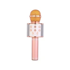اسپیکر میکرفونی مدل WS-858